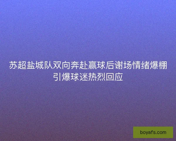 苏超盐城队双向奔赴赢球后谢场情绪爆棚引爆球迷热烈回应