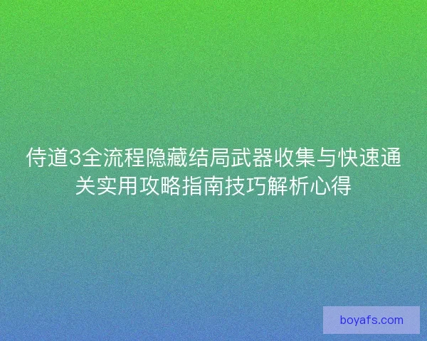 侍道3全流程隐藏结局武器收集与快速通关实用攻略指南技巧解析心得
